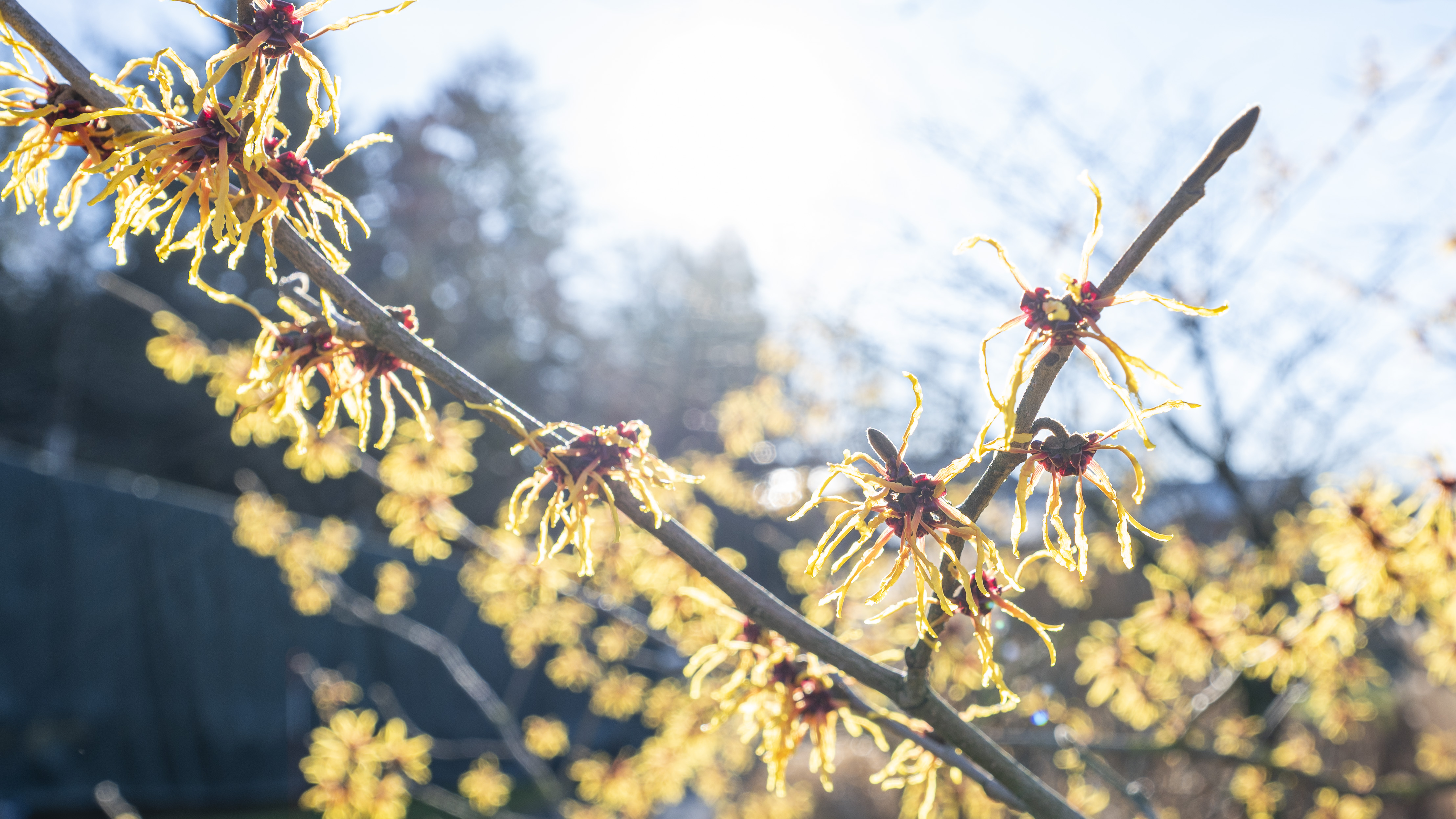 Ingen beskrivning tillgänglig